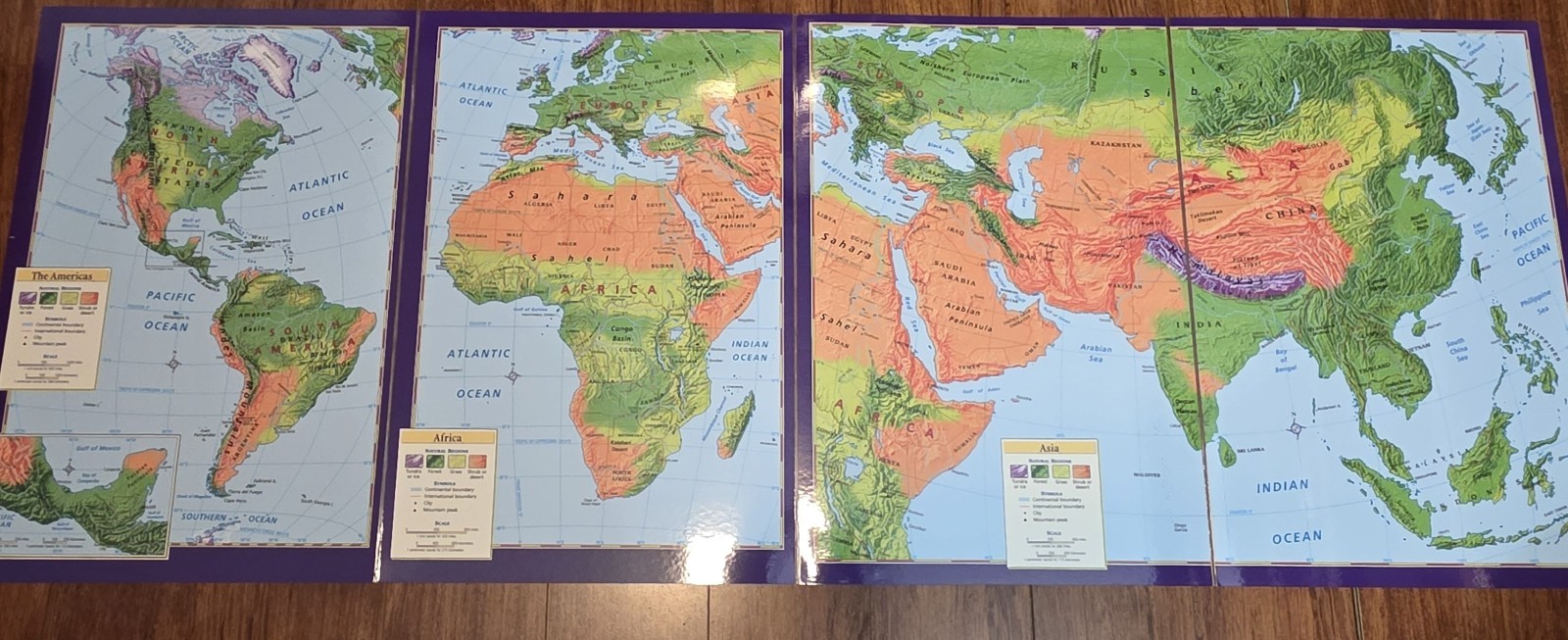 Nystrom Folding Activity Map 8901234567-10-321, Dry-Erase Surface UGC Read