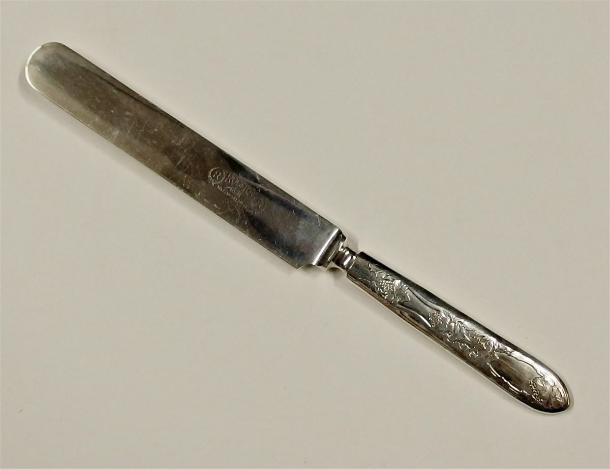 Oneida LA VIGNE Blunt Solid Dinner Knife 9-1/2, Silverplate (1908) Grapes