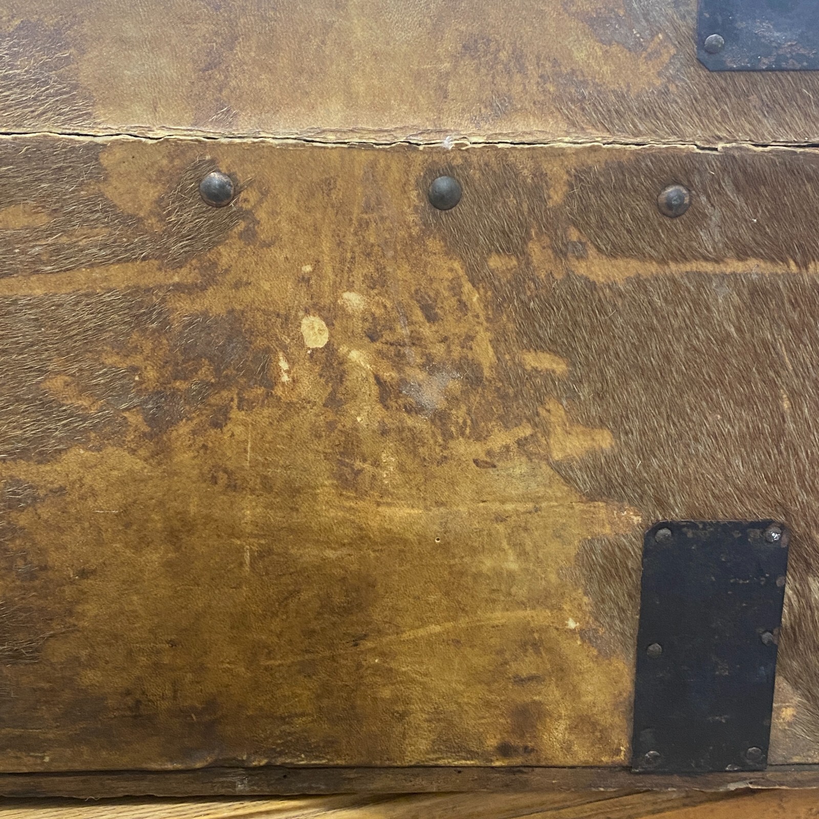 John Woodson Exeter ANTIQUE HIDE COVERED STAGECOACH TRUNK Newspaper Lined VTG