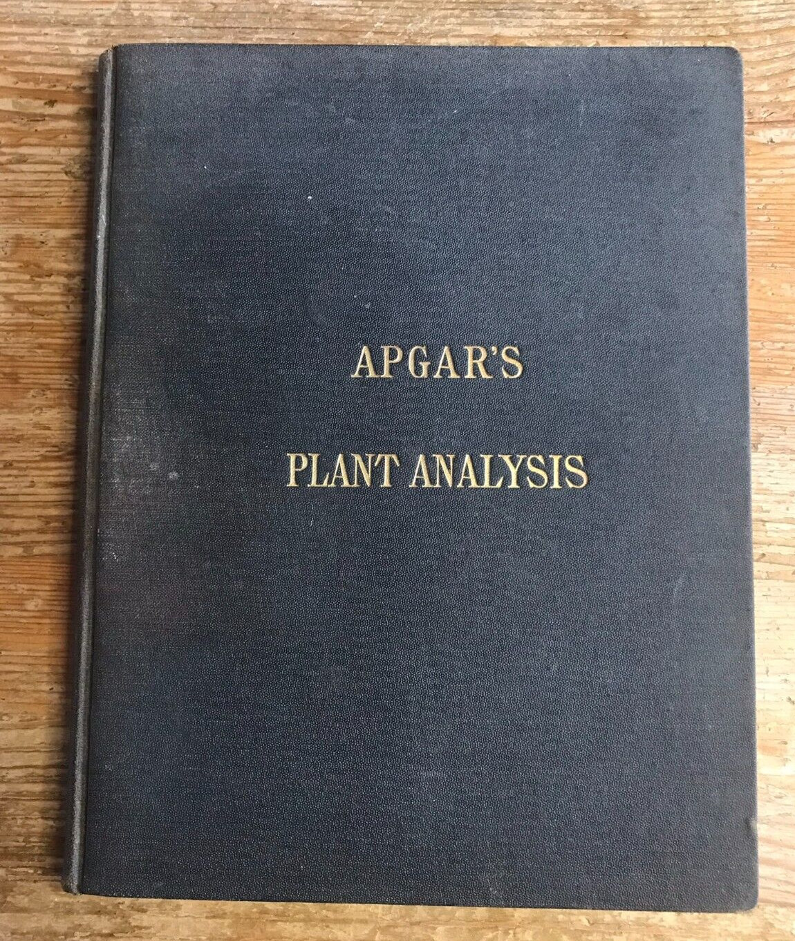 1889 Apgar’s Plant Analysis Book Botanical School Antique Workbook Descriptions