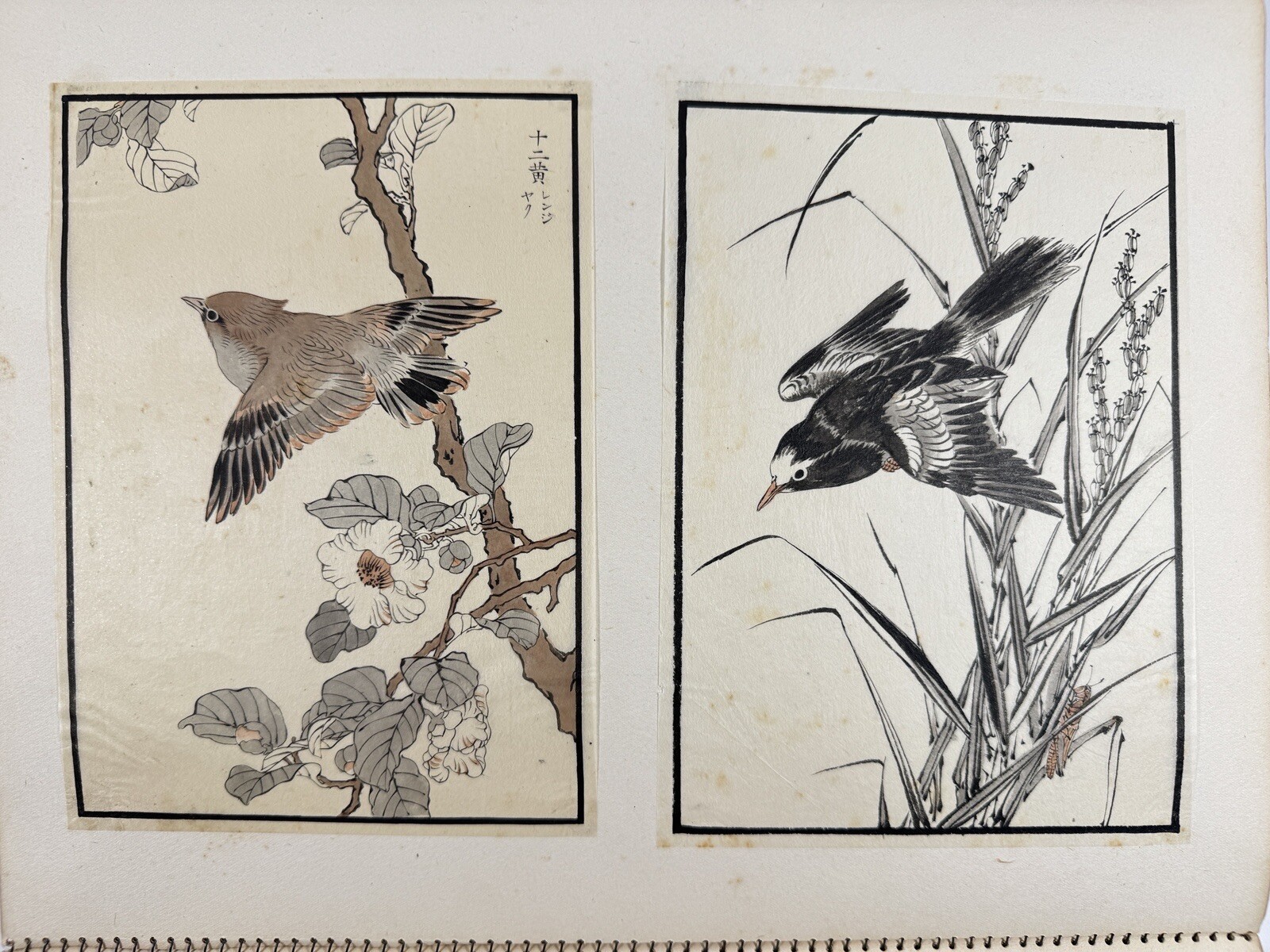 Japanese Drawing Book “Kachoshu” Picture of birds and flowers 49 illustration