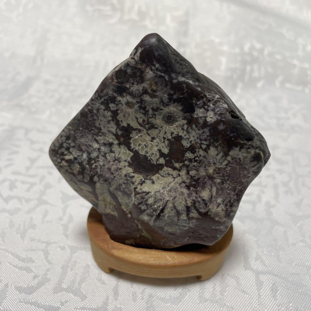 Chrysanthemum stone Suiseki Bonseki Bonsai Black and gray chrysanthemum pattern
