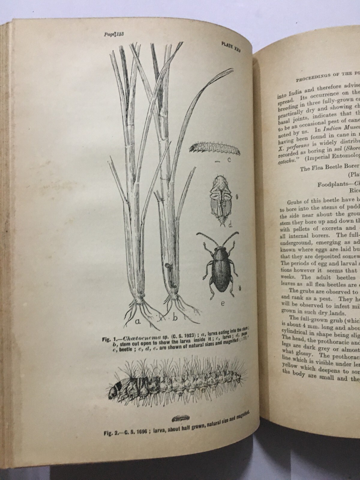 Fletcher, T. Bainbrigge: Report Proceedings Fourth Entomological Meeting. 1921