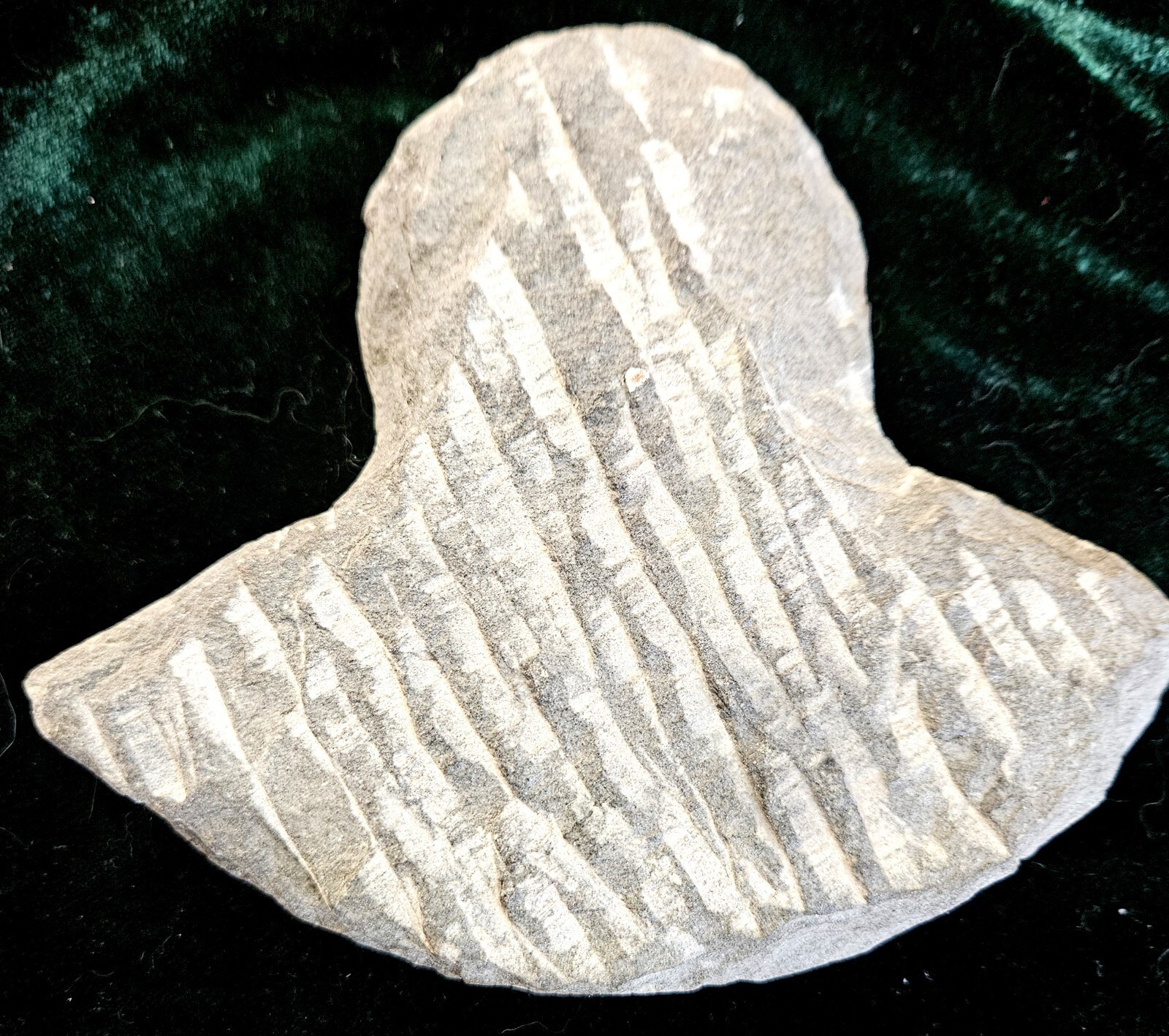 Hand Carved Navagraha Ritual Stone Sun God Dharma and Punya Antique Nepal