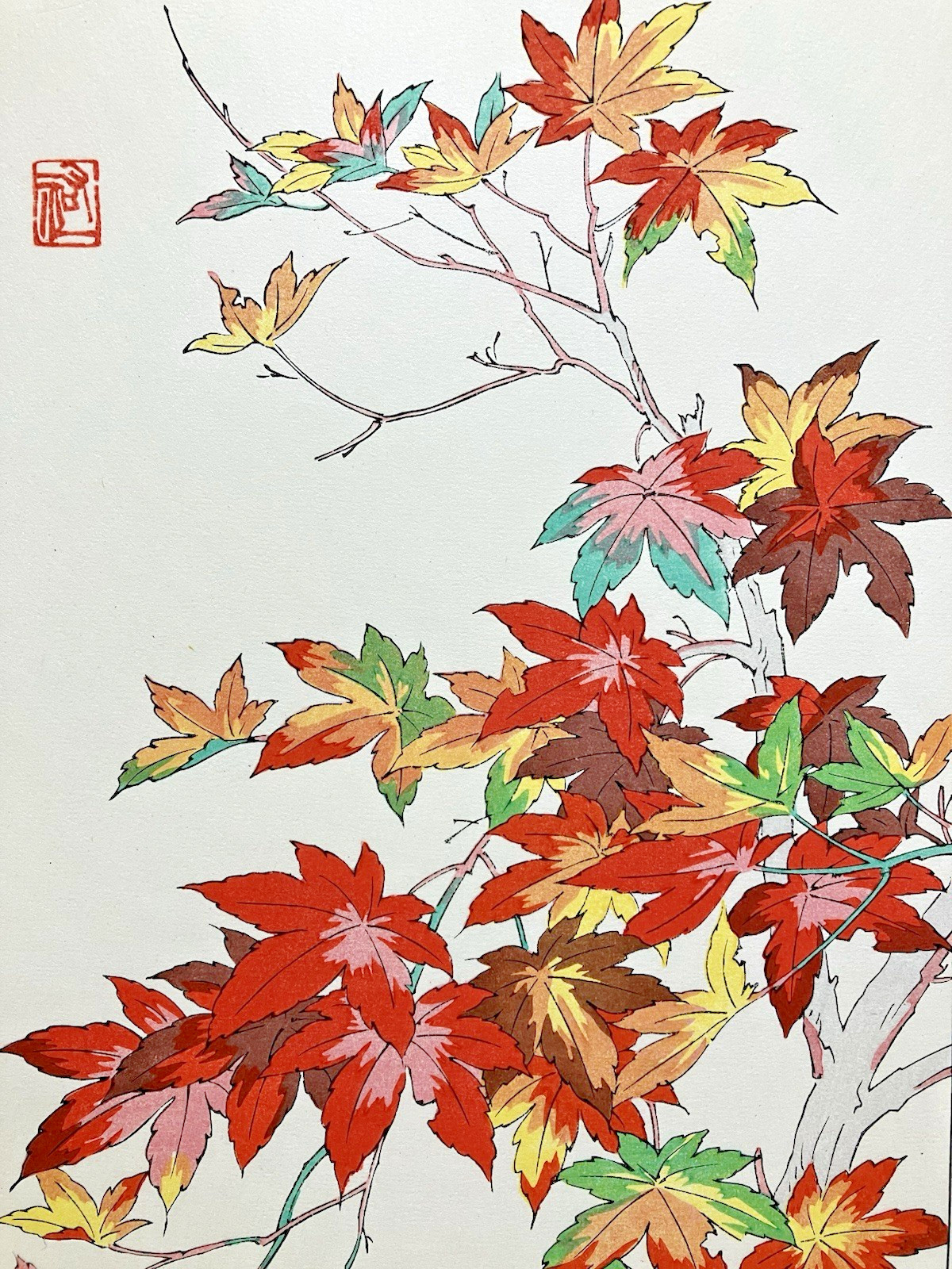 Yuichi Osuga Woodblock Print “Maple” Kyoto Unsodo Flower Prints