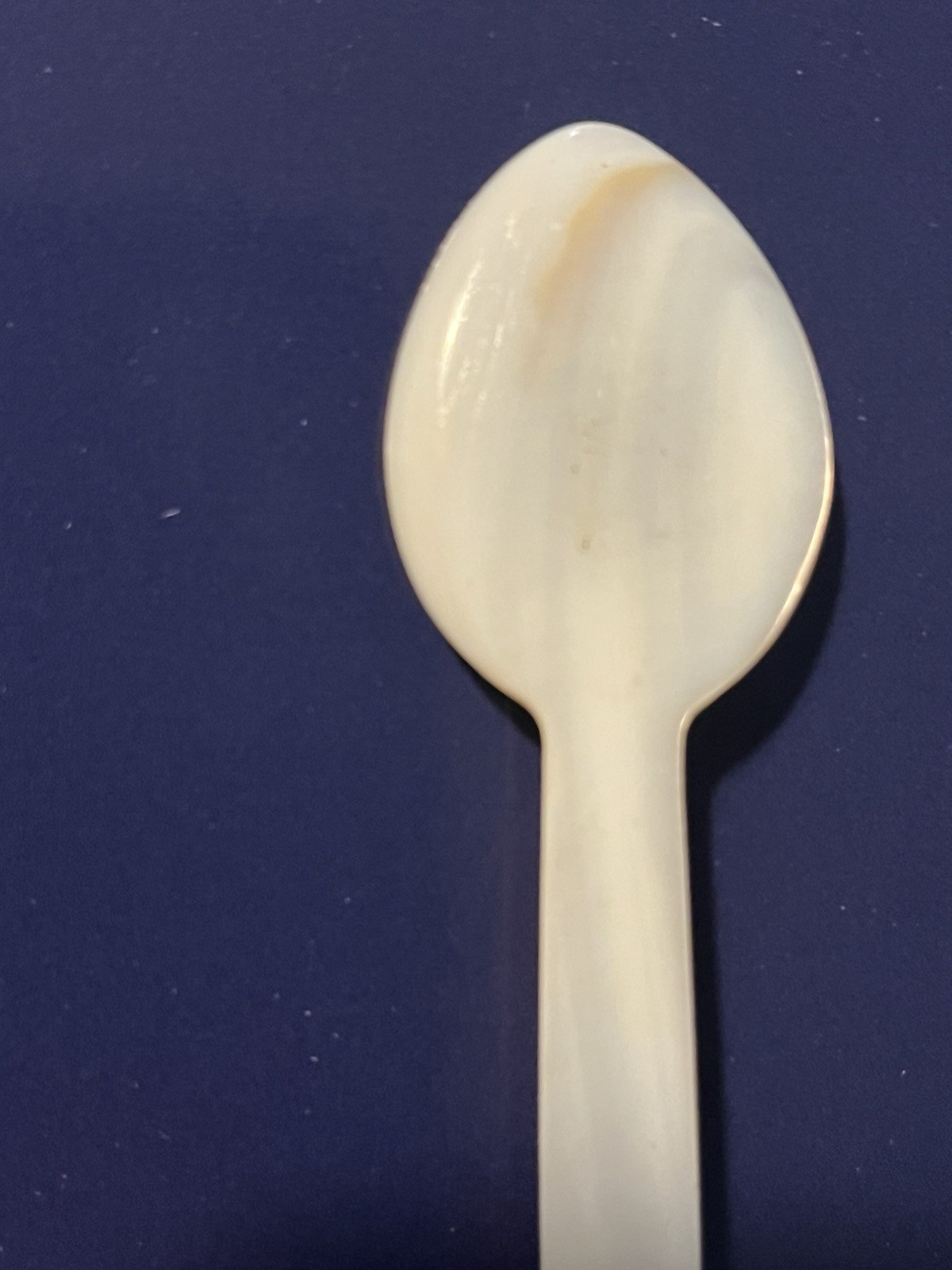 Vintage Ivory Spoon SOUVENIR OF SAN BERNARDINO, CALIF. 5”