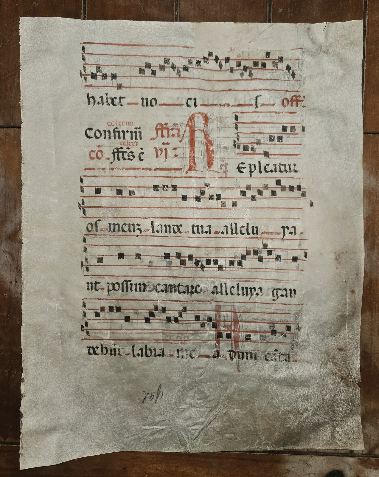 Antiphonal Medieval Manuscript Leaf – XL, Hand Printed Latin Music, 16th Century