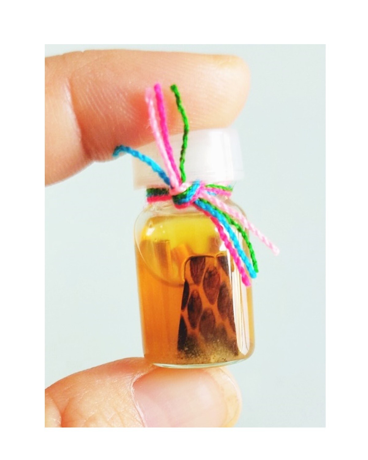 Magic Risk Luck Snake Oil Kruba Tao Amulet Thai Trade Money Business Gambling