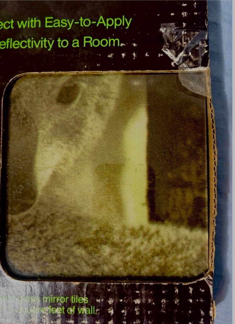 Hoyne Mirro Scene Koala Bears 24” x 36” Glass Mirror Tiles NOS vtg 70s USA