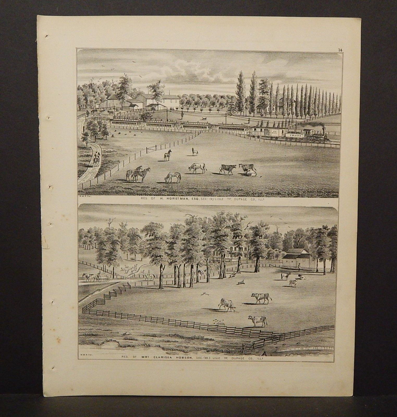 Illinois Du Page County Map Clarissa Hobson Farm Engravings 1874 K13#93