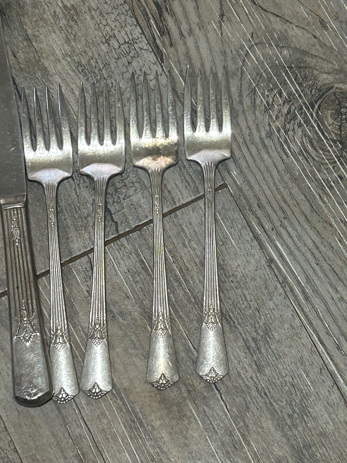 WM ROGERS & SON IS Silverware Silverplated Guild Cadence 12 Pcs Forks Knives Vtg