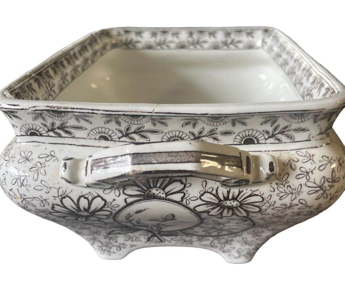 RARE Aesthetic Movement Ridgeway “Devonishire” Huge TransferWare Tureen! Birds!