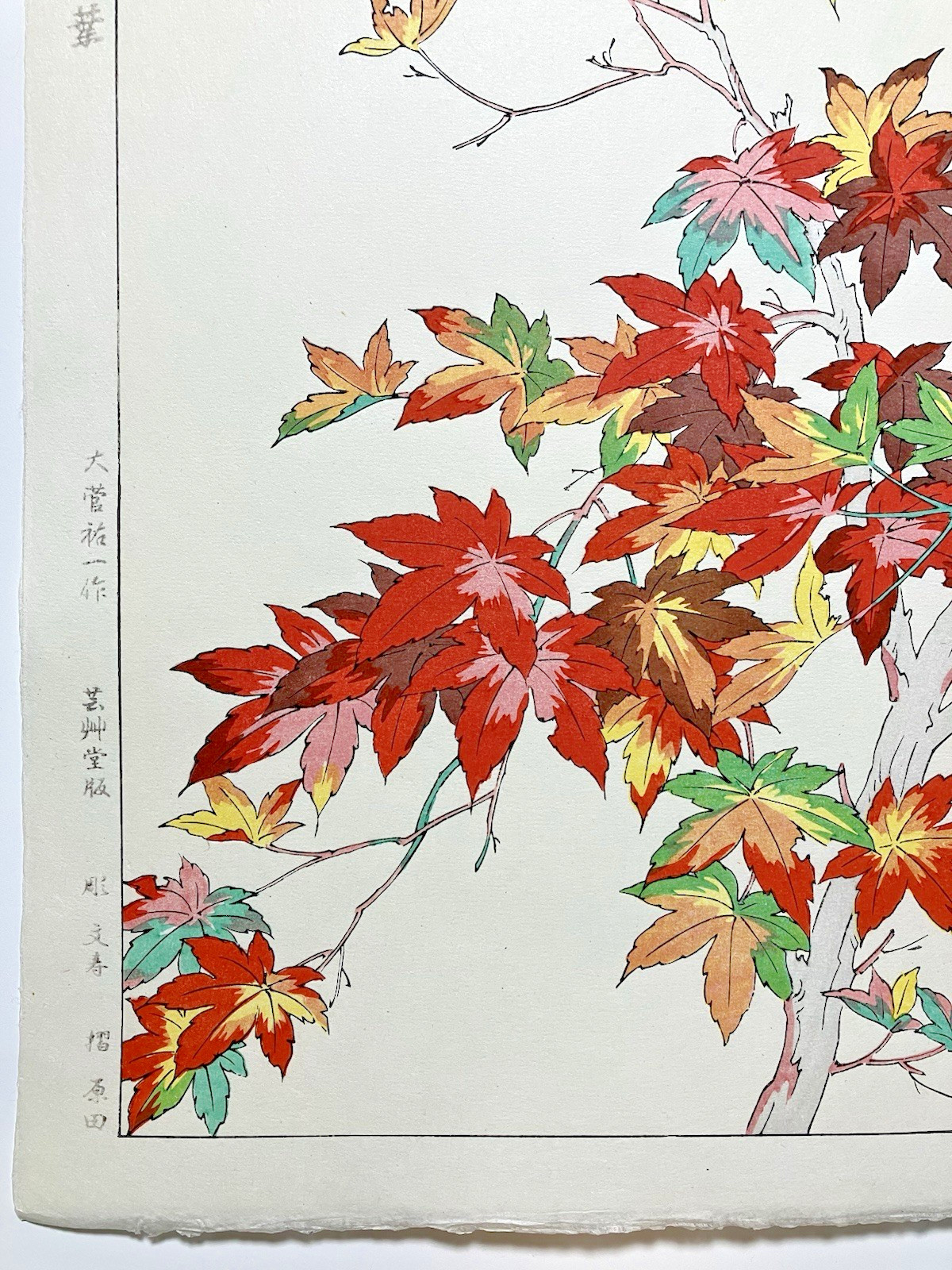 Yuichi Osuga Woodblock Print “Maple” Kyoto Unsodo Flower Prints