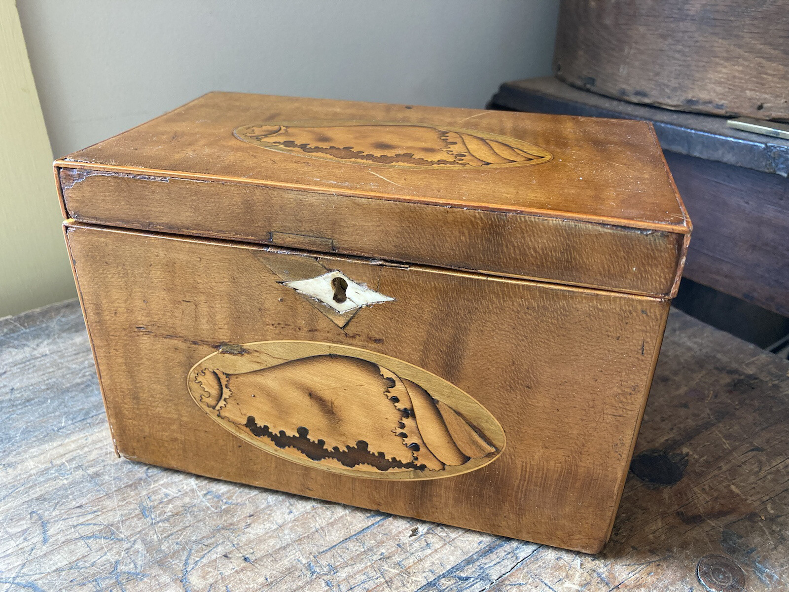 ANTIQUE 18th C Georgian Era Fancy Inlayed Tea Caddy Box Conch Shell Complete