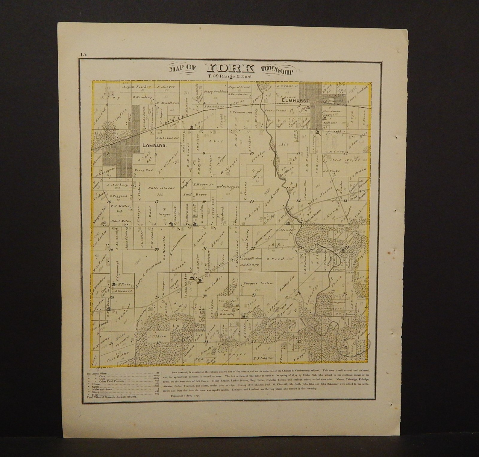 Illinois Du Page County Map York Township 1874 K13#75