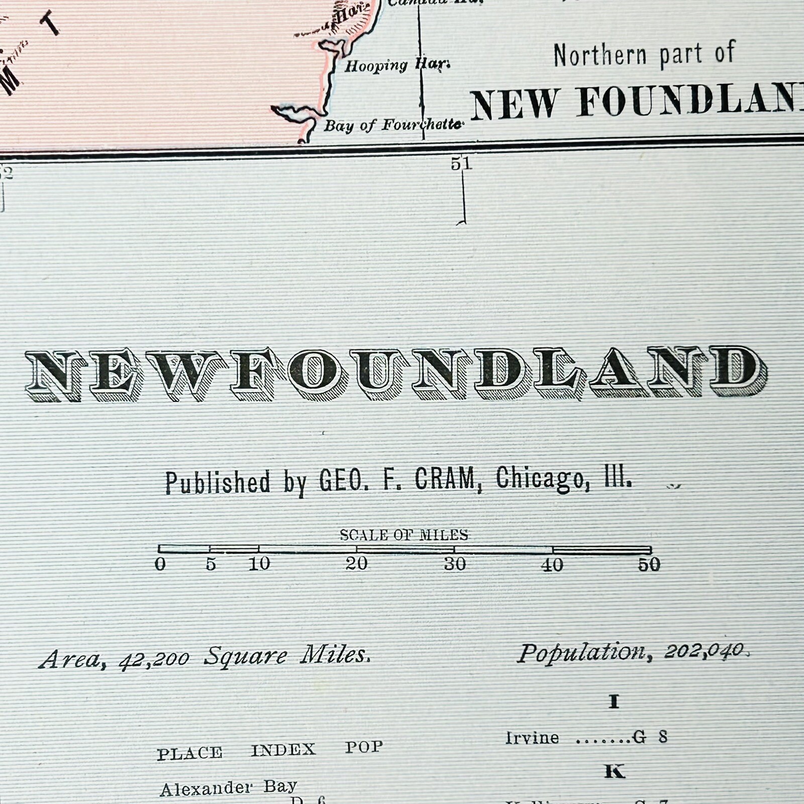 Antique Newfoundland Canada Map 1901 St Johns Mount Pearl Original 14” X 22”
