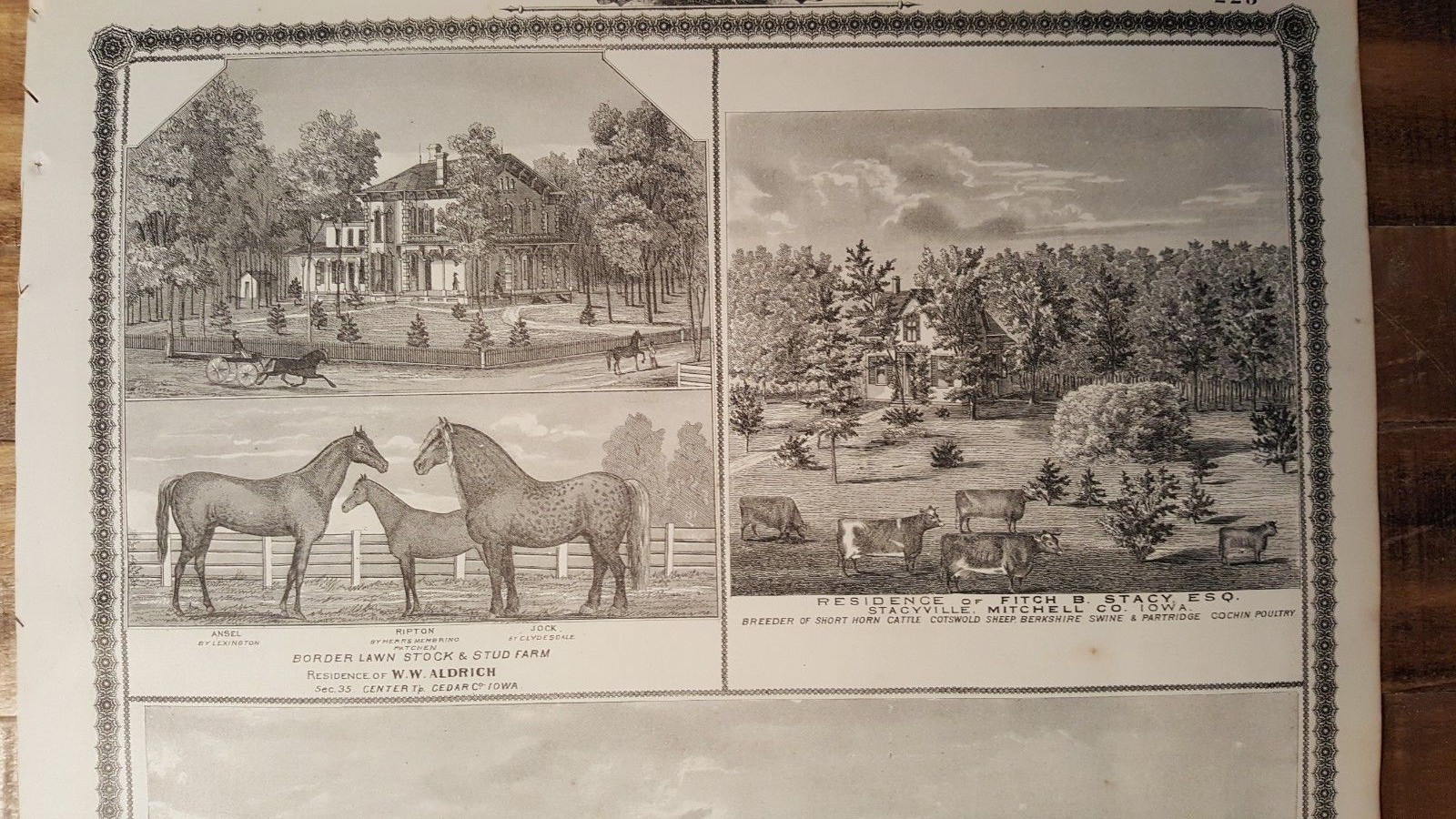 Antique Engraving – RED OAK, MONTGOMERY CO/OTHER VIEWS – Andreas Atlas Co. 1875