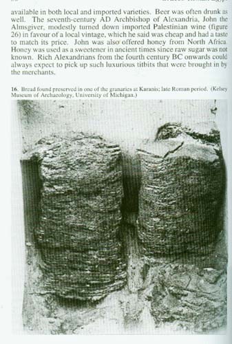 Greco-Roman Egypt Papyri Glass Industry 1st Hand Accounts Village-City Life Work