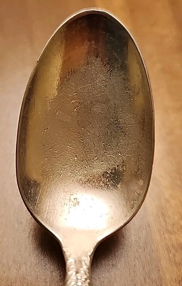 1881 Rogers A1 Isabella Pattern Silverplate Teaspoon Grapes 6″ Vintage Antique