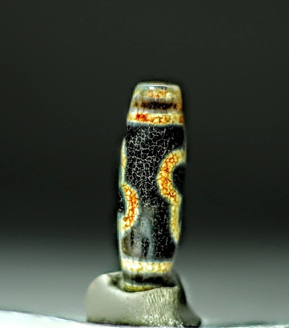 Rare Pre-1800s Indo/Tibetan Old Agate Dragon Skin Bodhi Tree Dzi Bead 13*40mm