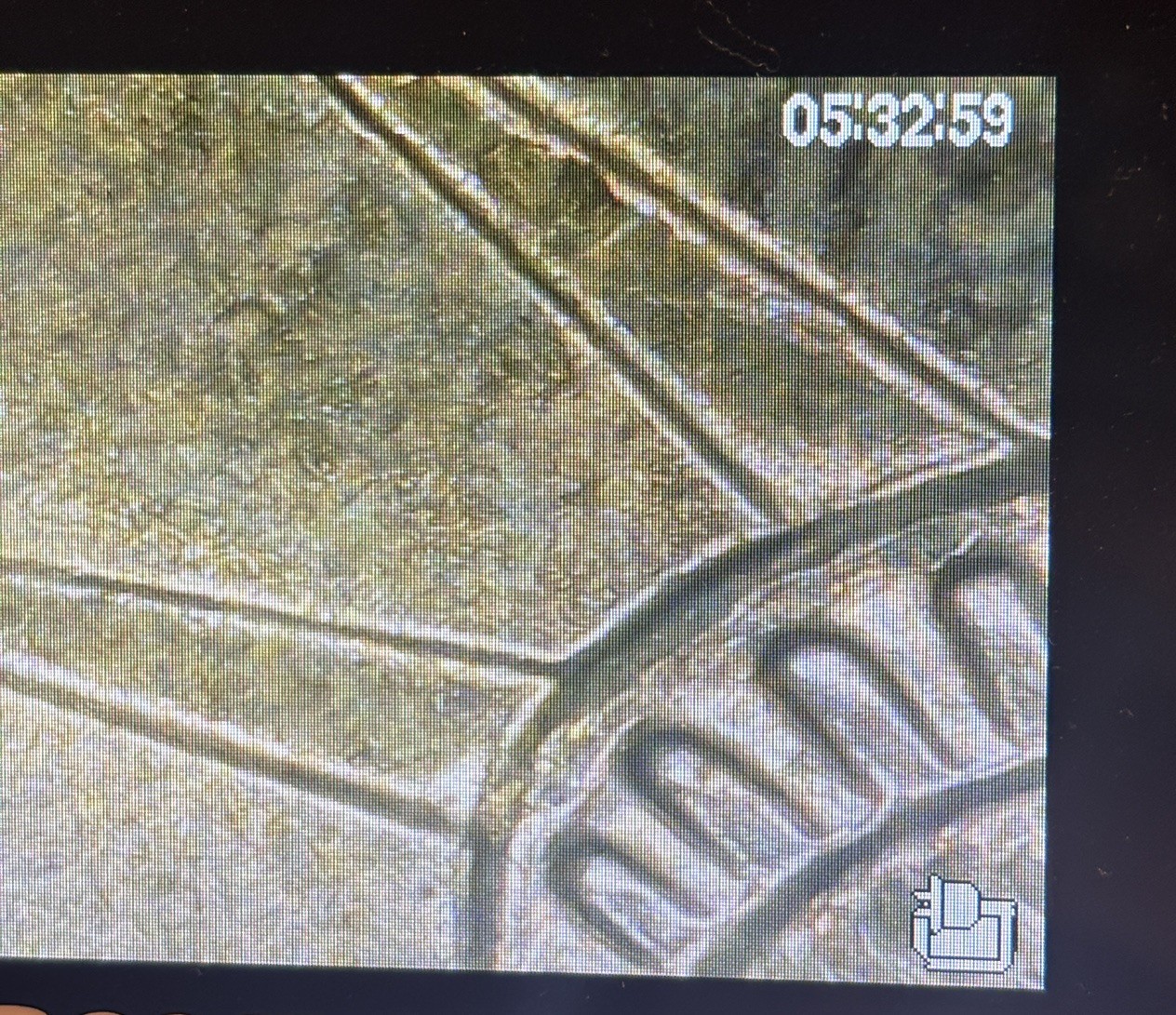 Super Rare 2008 D Coin 1825-1829 John Quincy Adams one dollar coin, Position A