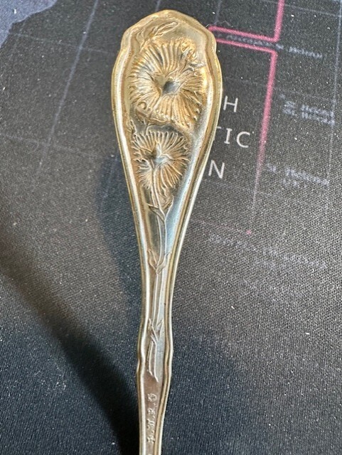 William Rogers (W.R.) Carnation Pattern – Pat Jan 14, 1908 – Teaspoon 6″ TX79