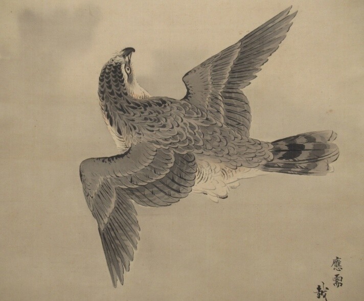 JAPANESE PAINTING HANGING SCROLL JAPAN Mt. Fuji HAWK Auspicious VINTAGE e524