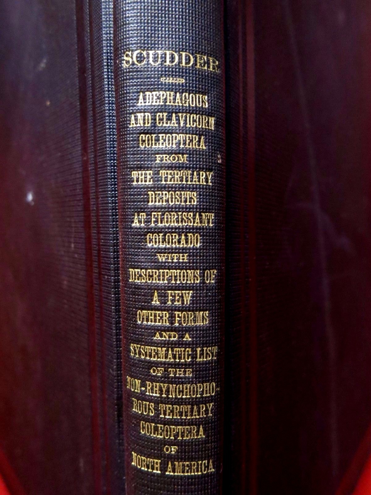 1900 U.S.GEOLOGICAL SURVEY /TERTIARY DEPOSITS AT FLORISSANT, COLORADO/ VOL. XL