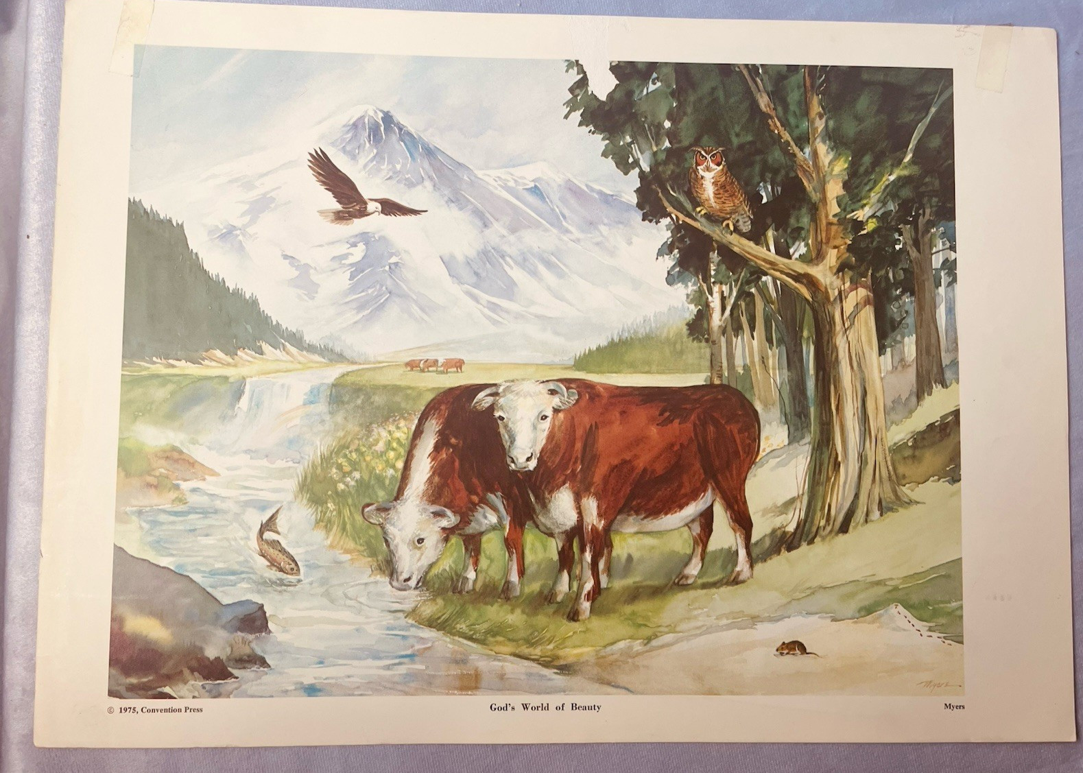 1975 Sunday School Picture Poster GOD’S WORLD OF BEAUTY Nature 12×17