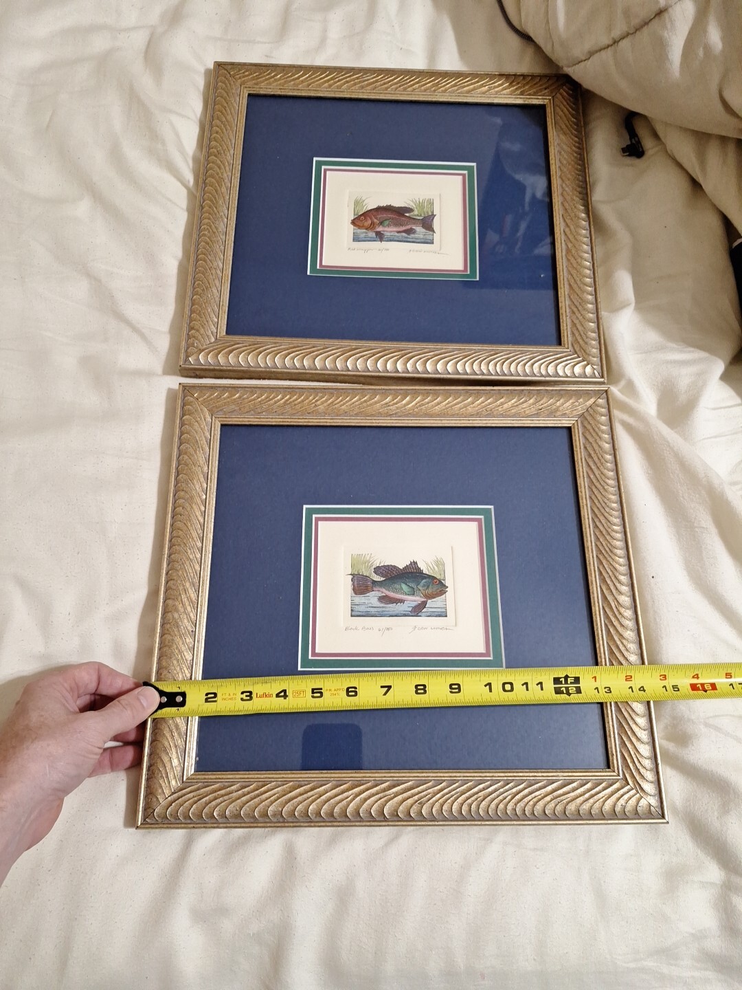Dan Mitra Black Bass & Red Snapper hand-colored etching Edition of 750 framed