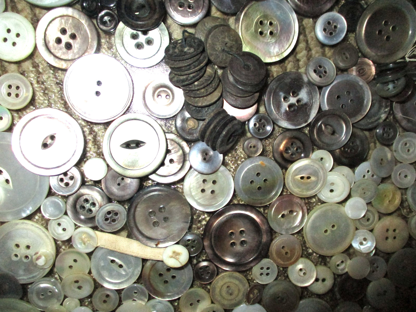 HUGE LOT ANTIQUE MOTHER OF PEARL MOP BUTTONS – SEW-THRU – IVORY SILVER PINK