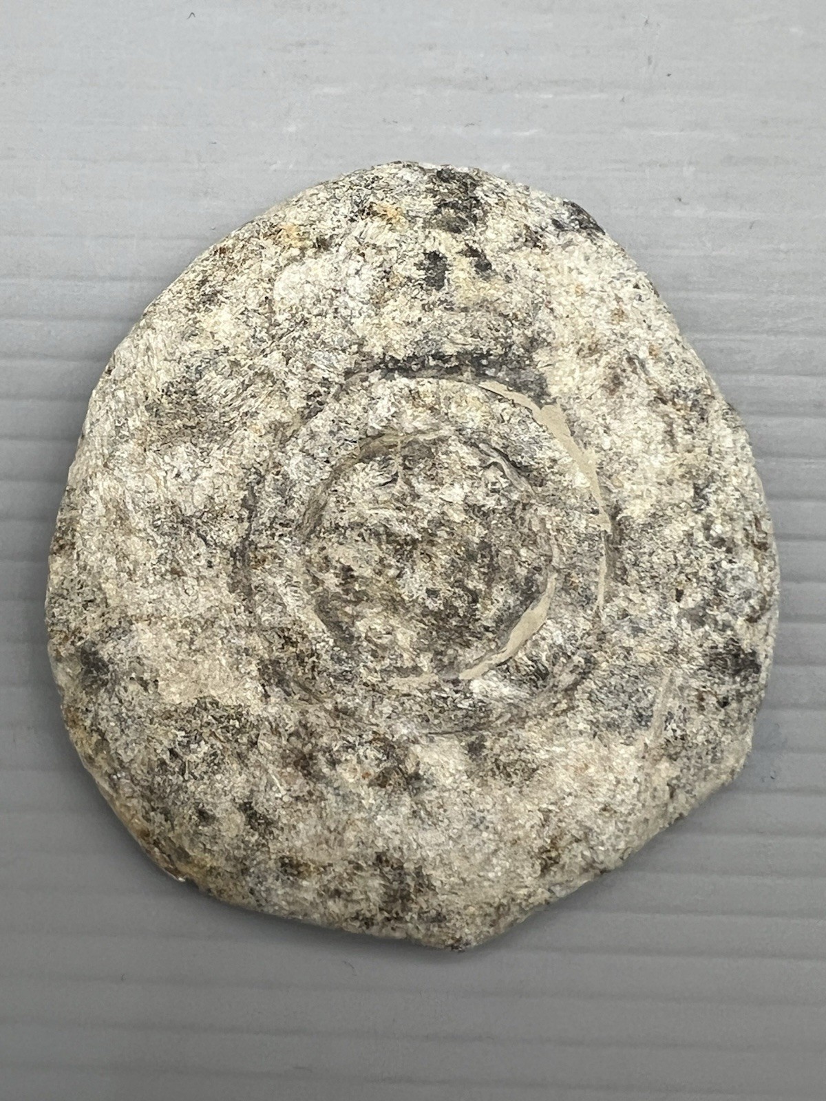 Near Eastern Bactrian Schist Stone Plate Relief Seated Price Standing Princess