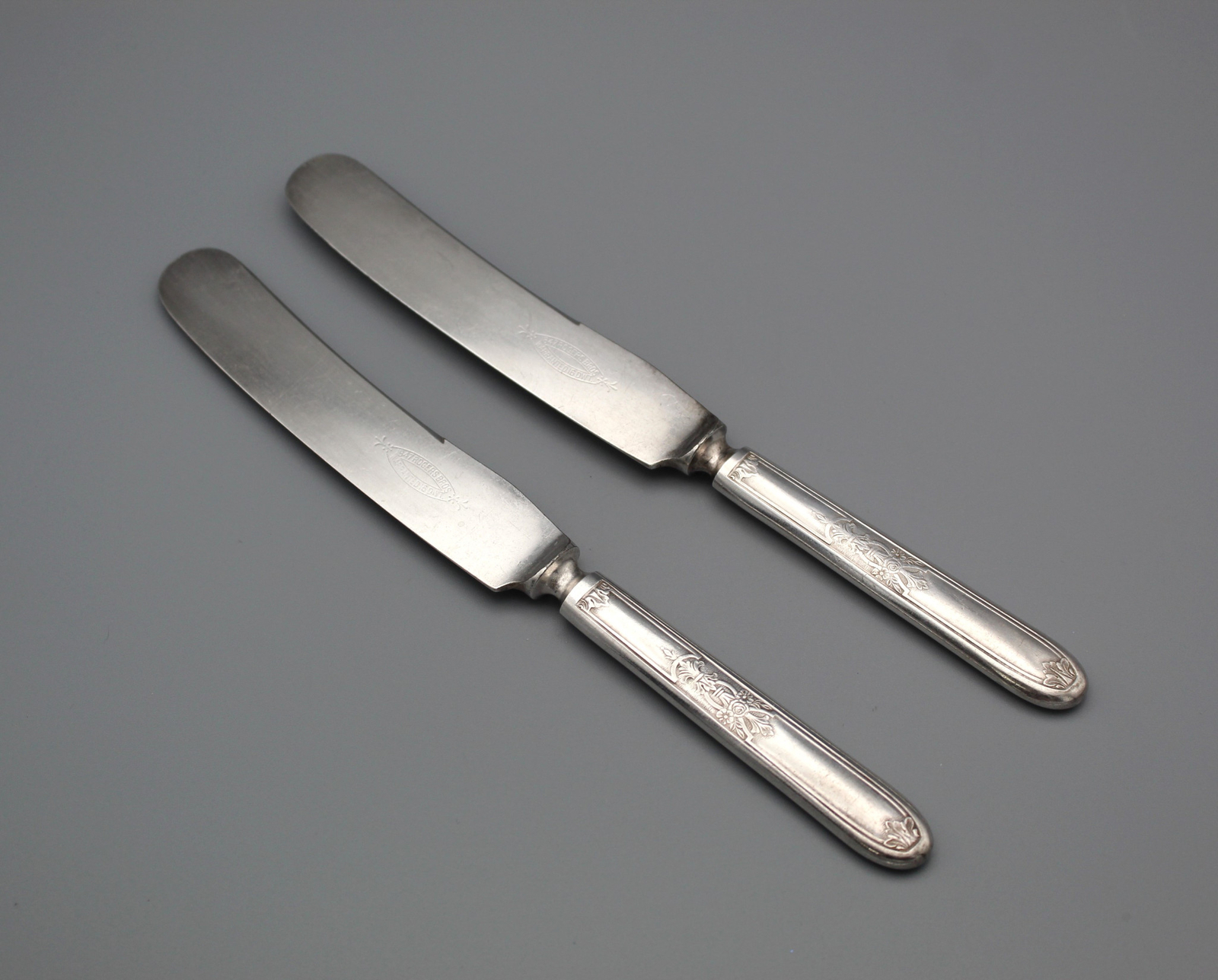 Vintage Silverplate 1847 Rogers Bros AMBASSADOR Solid Handle Dinner Knives (2)