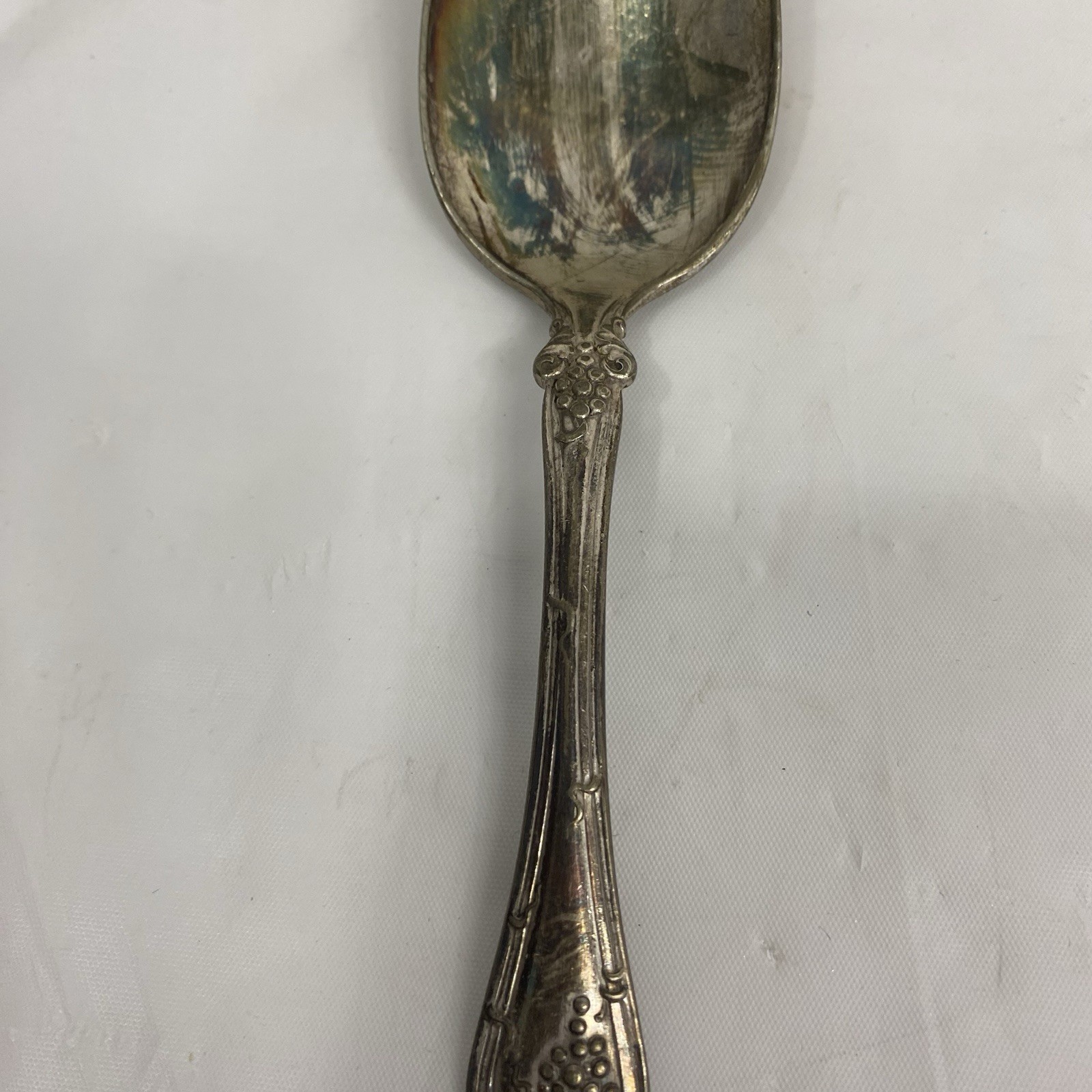 1847 Rogers Bros. Vintage Grape Pattern Silver-Plated Spoon XS Triple 7in