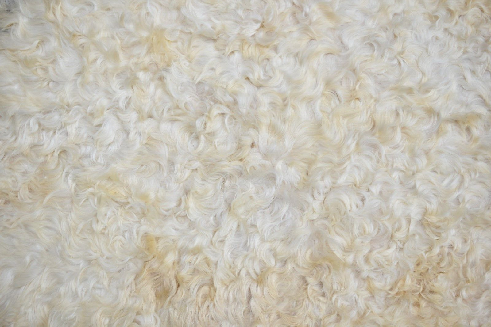 Angora Goat Leather Goatskin Fur 2 x 3 ft Pelt Hide 100% Natural Goat Skin Rug