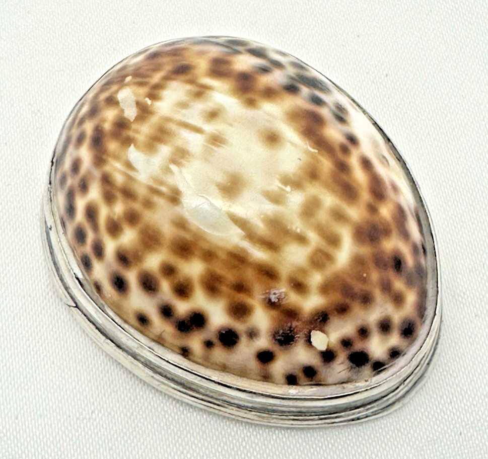 Circa 1780 Silver Mounted Cowrie Shell Snuff Box Antique