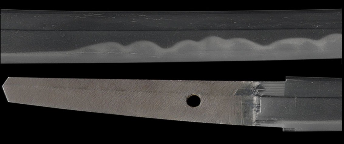 Wakizashi 脇差 “ Nobuyoshi ” 菊紋越前守源信吉 Japanese Real Sword 54.2 cm Shirasaya Edo