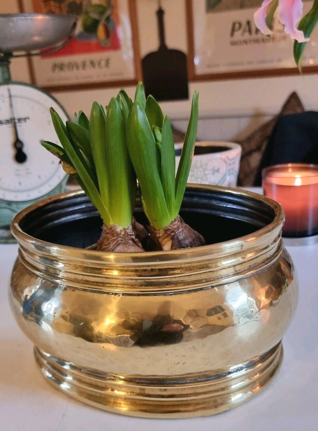 Early 20th Century Brass Planter Jardiniere An Interior Design Essential