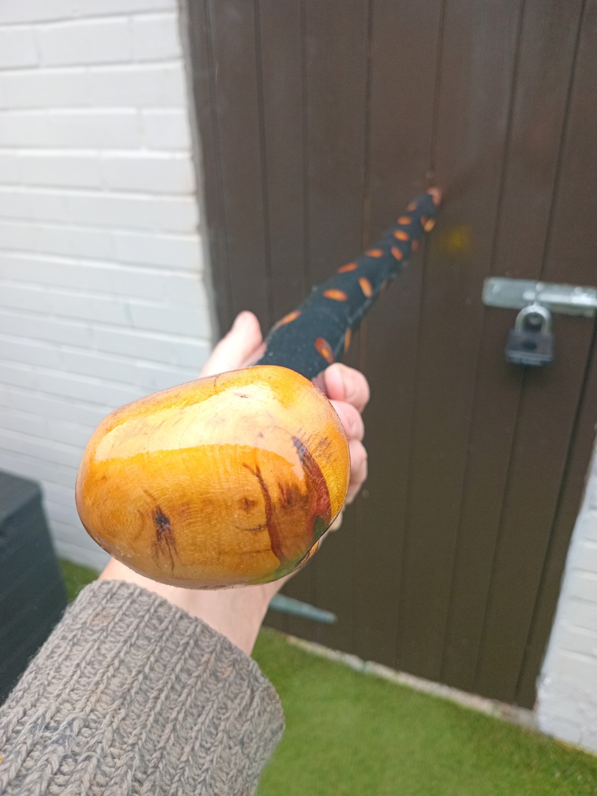 IRISH BLACKTHORN STICK 39 INCHS LONG 3X2 ROOTBALL HANDLE 1.5 IN DIAM