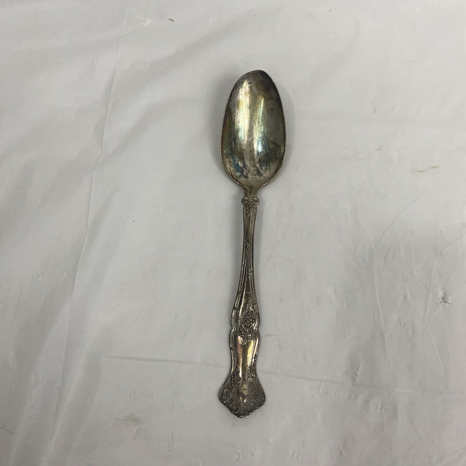 1847 Rogers Bros. Vintage Grape Pattern Silver-Plated Spoon XS Triple 7in