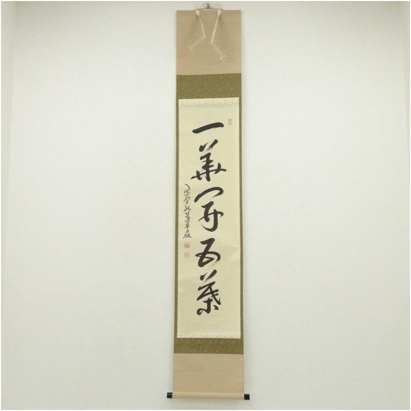 Kobori Takugan Calligraphy Hanging Scroll Paper Japan Original Box 80cm (31.5in)