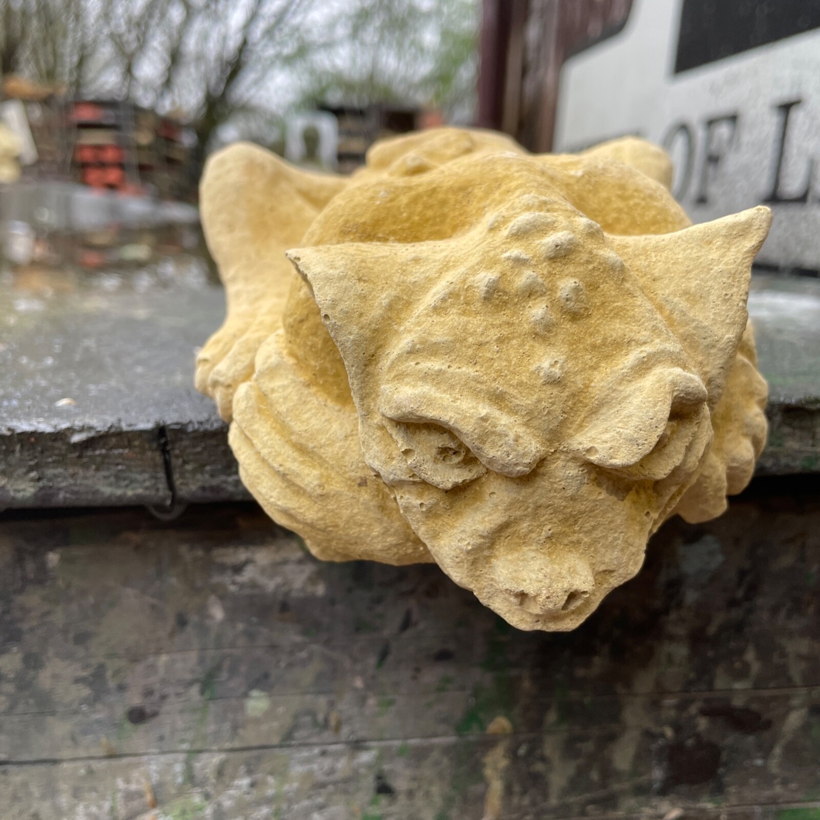 Plain Memento Mori Medieval/Gothic Style Church Gargoyle Wall Resting Sculpture