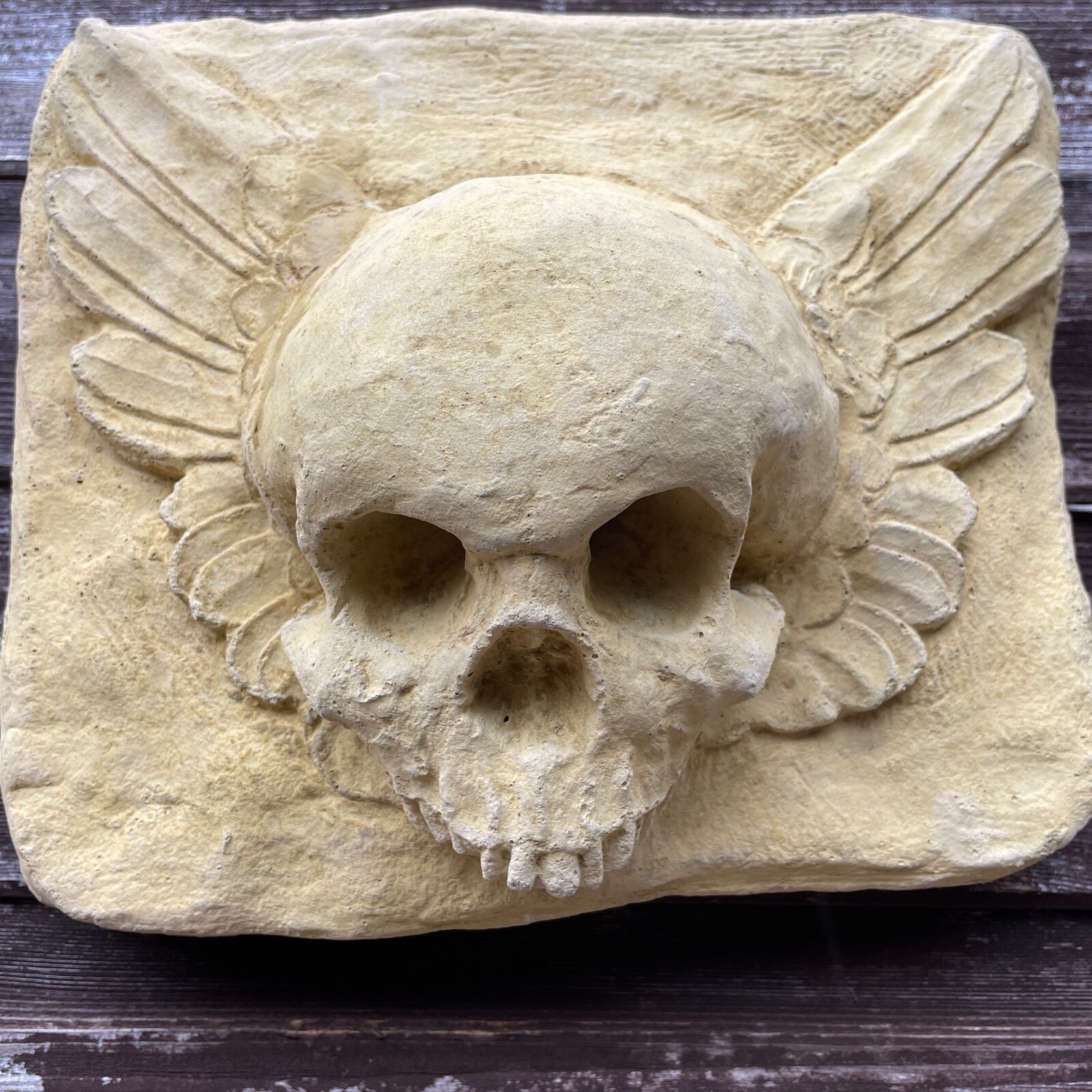Plain Masonic Curiosity Memento Mori Skull & Winged Vanitas Cartouche Sculpture