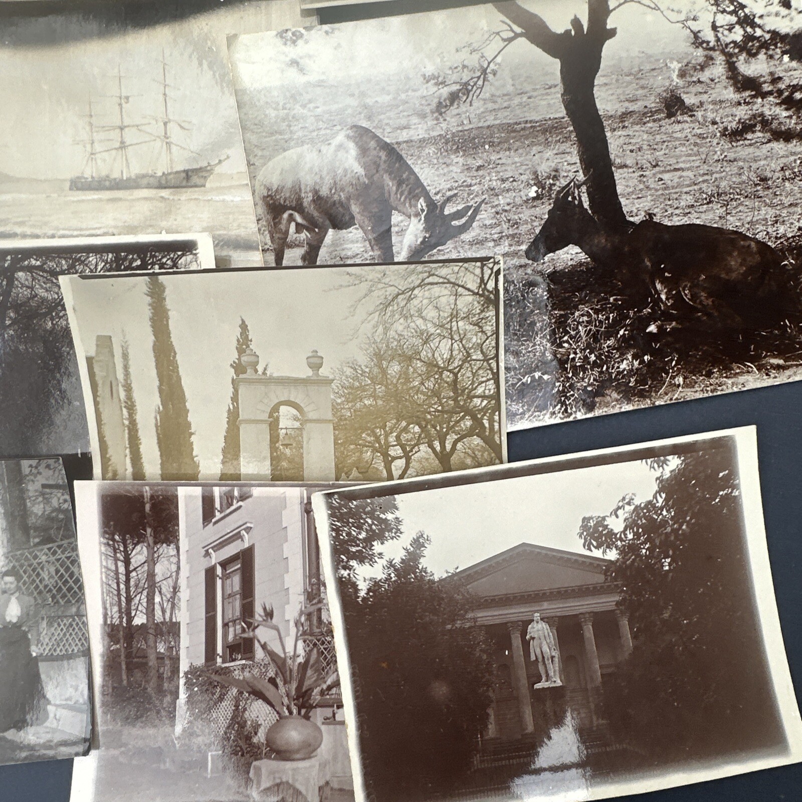 30 Original Photos by Capt White South Africa Boer War 1902 Zulu Portraits Huts