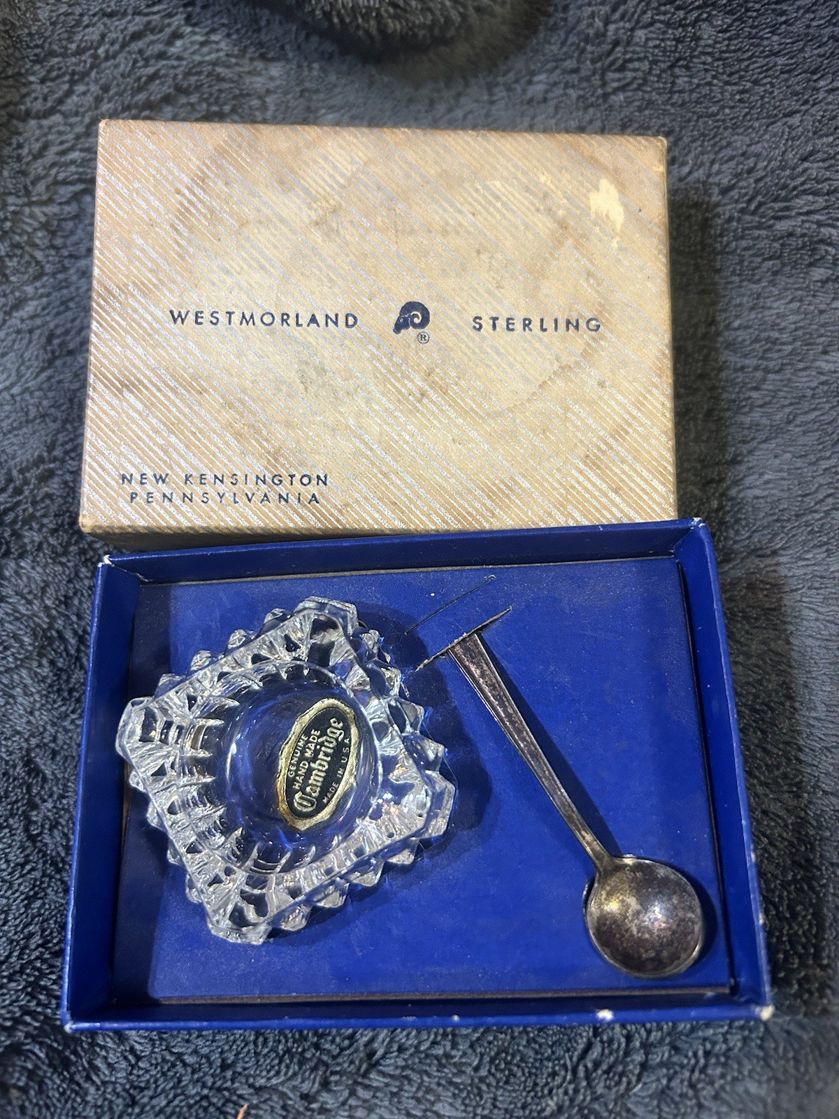 ANTIQUE CAMBRIDGE SALT CELLAR WESTMORELAND ENCHANTING ORCHID STERLING SPOON MIB