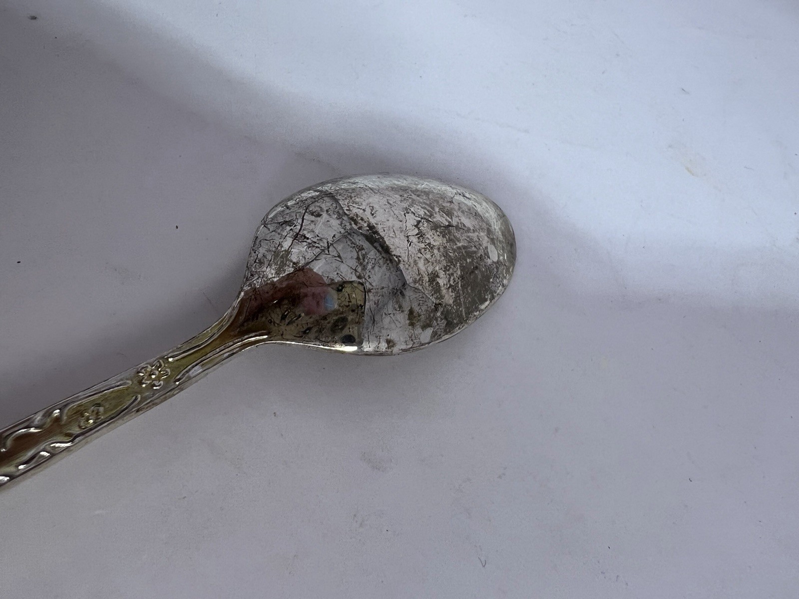 W.M Rogers & Sons Silverplate Silverware Spoon Enchanted Rose