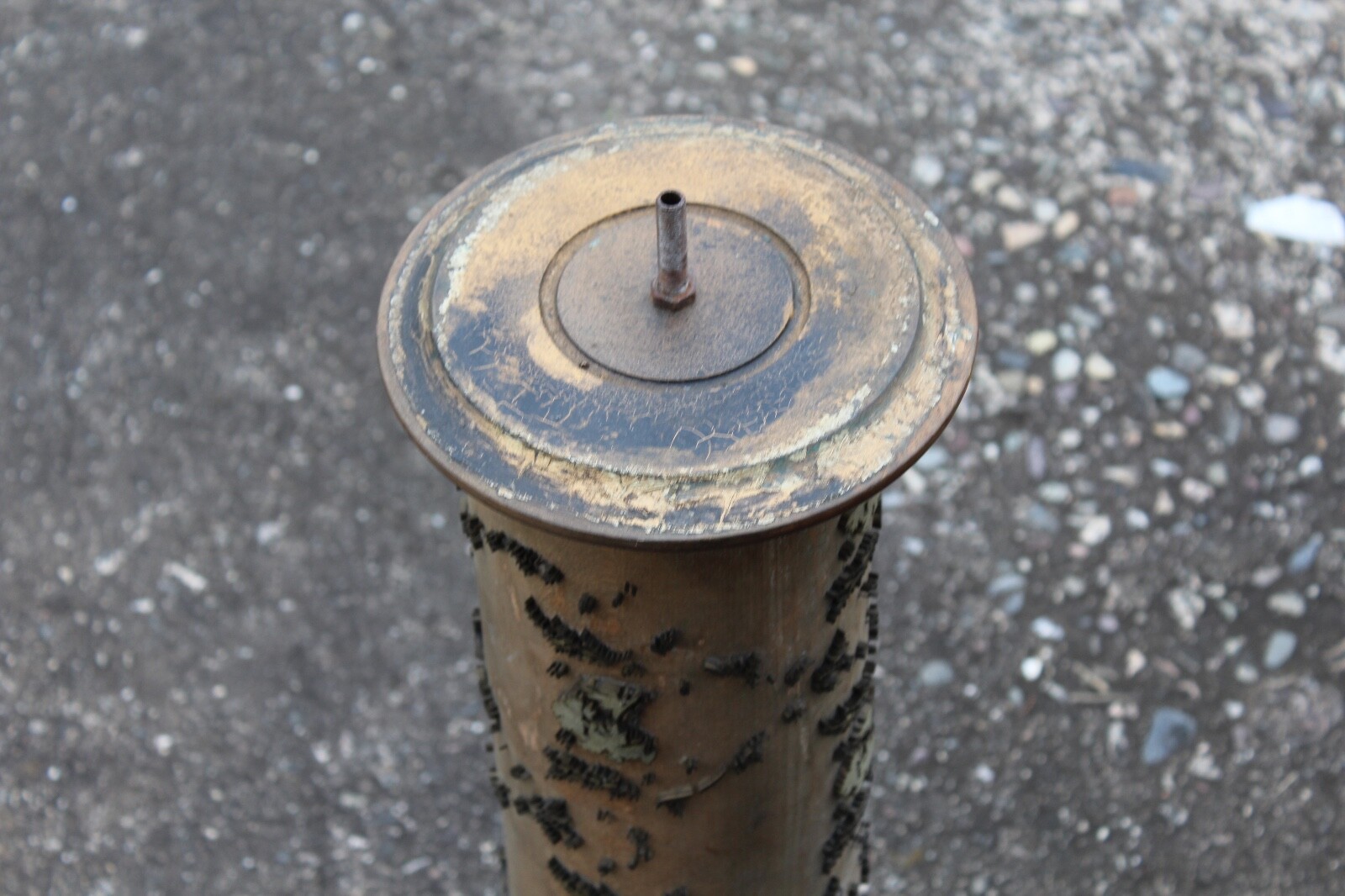 Antique Victorian Wall Paper Pattern Press Cylinder Primitive Wallpaper