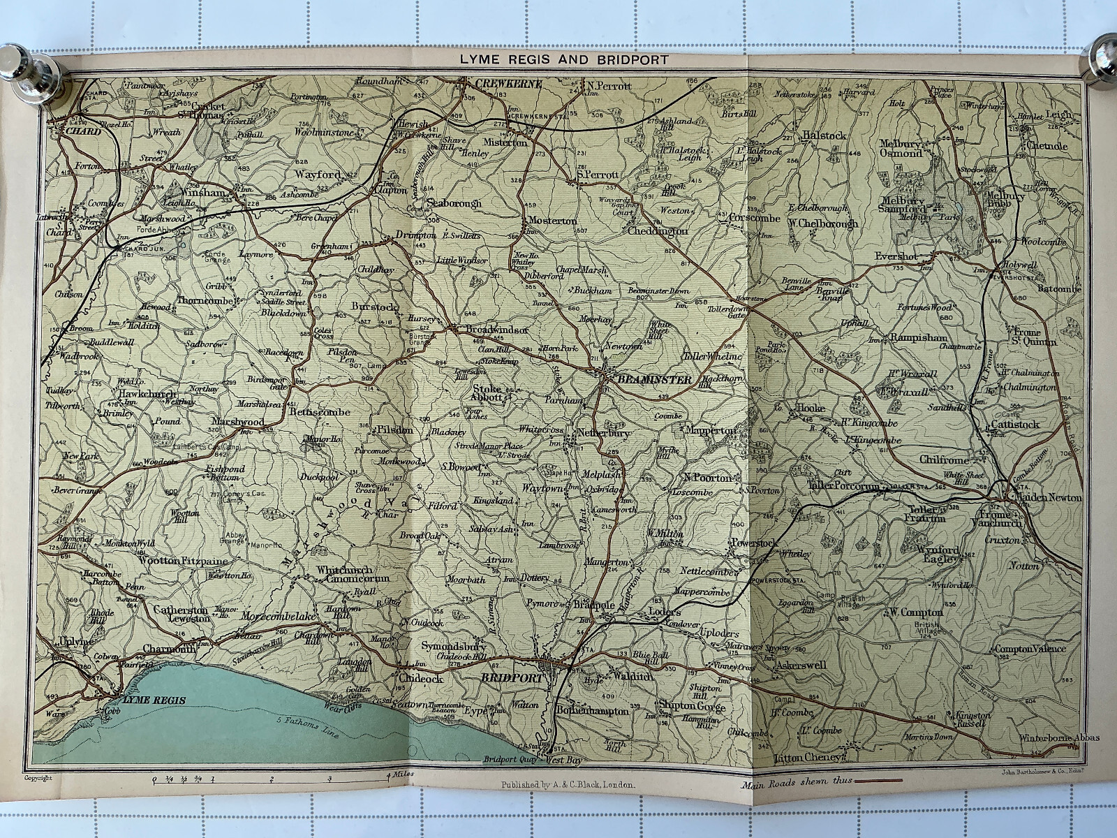 LYME REGIS – BRIDPORT – CHARD – 1907 Original Antique County Map Dorset England