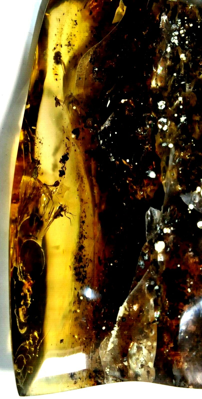 118gr RUSSIAN SOVIET RARE BALTIC SEA INSECT AMBER GEMSTONE 老琥珀 KALININGRAD ROCK