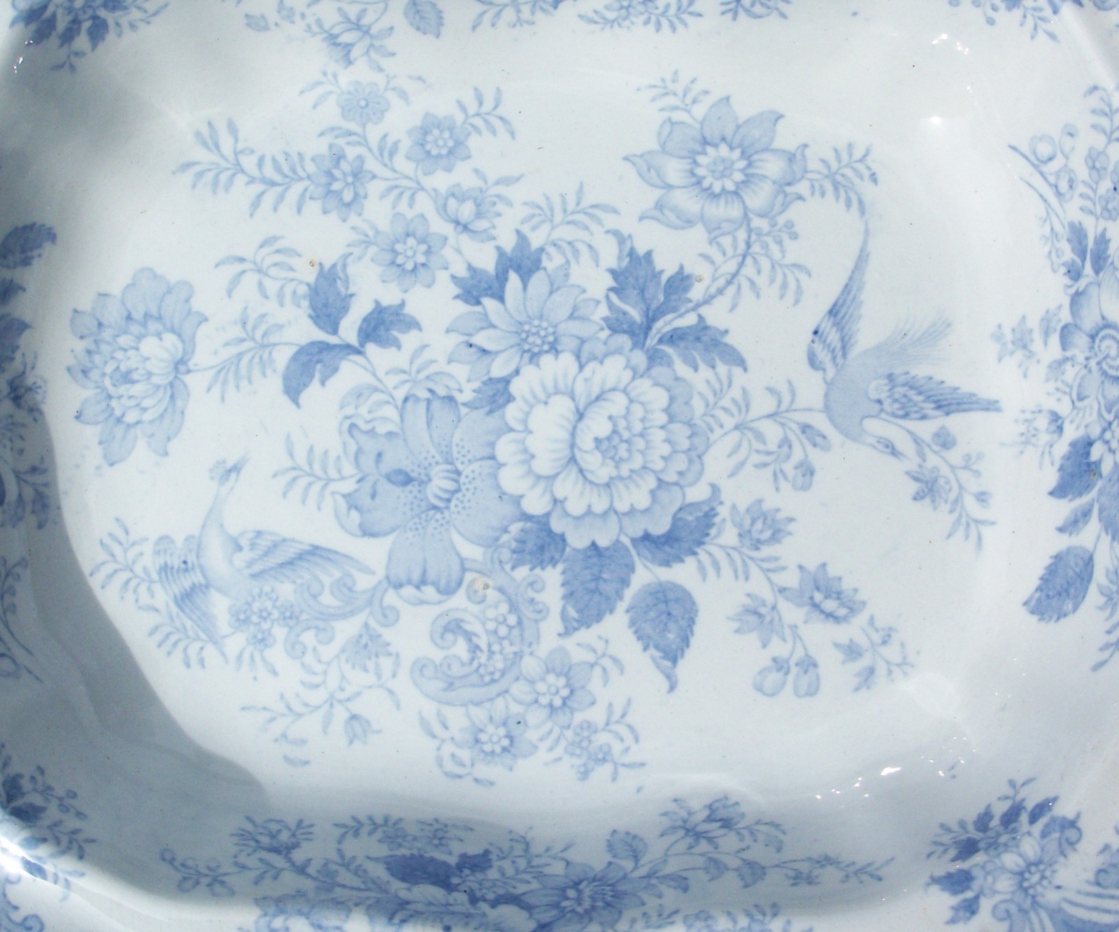 Antique Asiatic Pheasant Vegetable Dish Blue and White Length 29cms